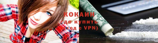ПСИЛОЦИБИНОВЫЕ ГРИБЫ Волосово