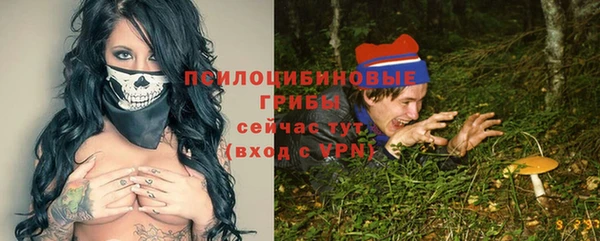 СК Вяземский