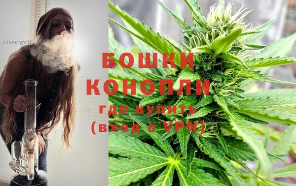 ПСИЛОЦИБИНОВЫЕ ГРИБЫ Волосово
