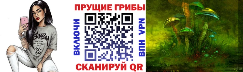 Галлюциногенные грибы мухоморы  Купить  Тихорецк 